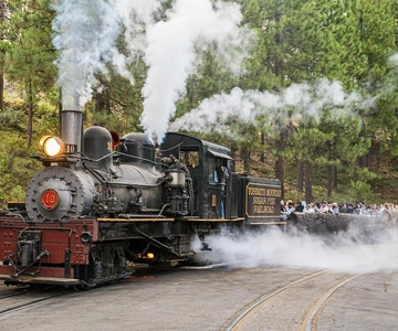 Anlatımlı Yosemite Dağı Şeker Çamı Demiryolu Gezisi