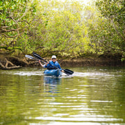 Adelaide: Dolphin Sanctuary Eco Kayaking Tour