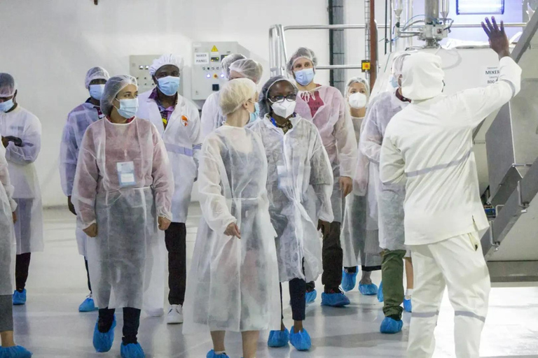 Accra: Excursión de degustación de chocolate ghanés