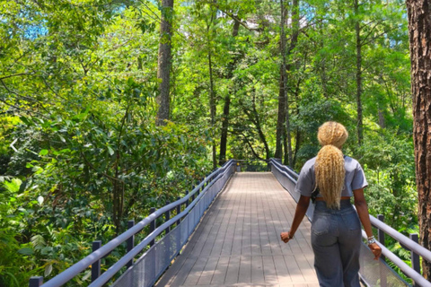 San Salvador: Volcano and Historic Sites Tour