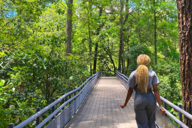 San Salvador: Volcano and Historic Sites Tour