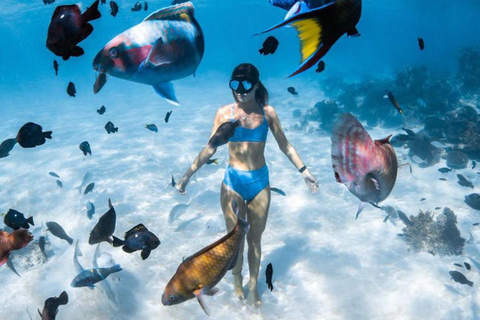 Bali Est : Snorkeling nella Laguna Blu - Tutto inclusoSnorkeling solo con punto d&#039;incontro e pasti