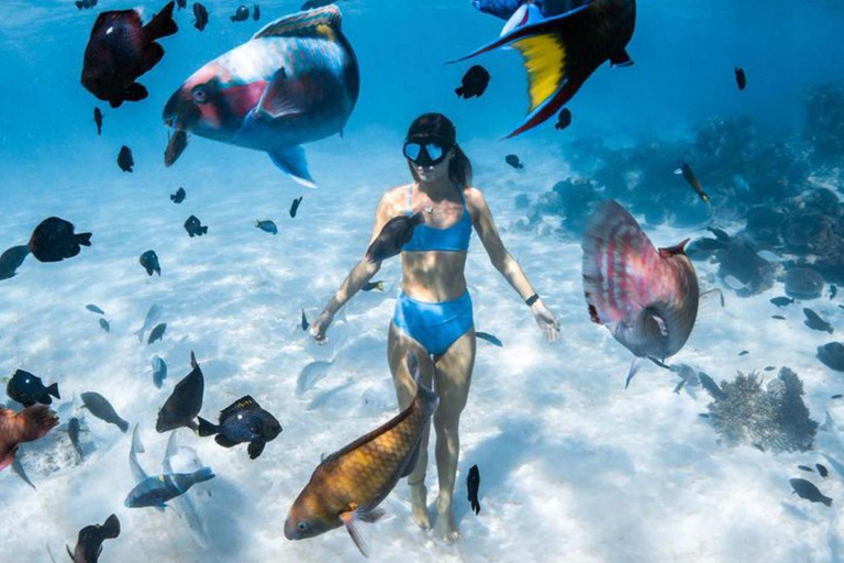 Oost-Bali : Snorkelen in de Blue Lagoon - All-InclusiveSnorkelen & Raften