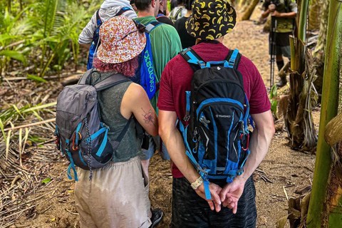 Uvita: Corcovado Rainforest & Wildlife Adventure