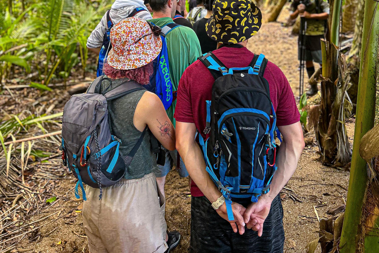 Uvita: Corcovado Rainforest & Wildlife Adventure