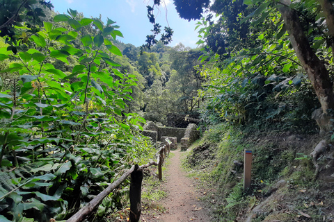 São Miguel: Moinho do Felix-Wanderung mit Besuch der Teefabrik