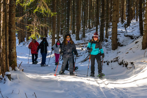 From Ljubljana/Bled: Beginner Snowshoe in Julian Alps From Bled - pickup at your accommodation
