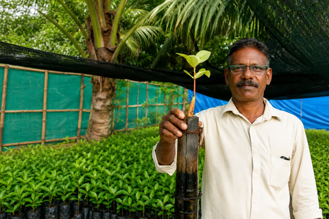 Kerala: Uncover Backwater Mangroves by Country Boat Trails