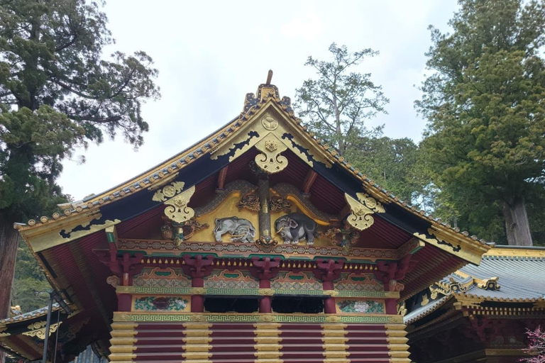 Nikko Private Day Tour with English Speaking Expert Driver