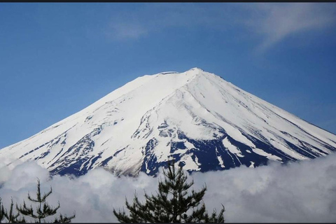 Från Tokyo: Fuji-berget eller Hakone Sightseeing Privat dagstur