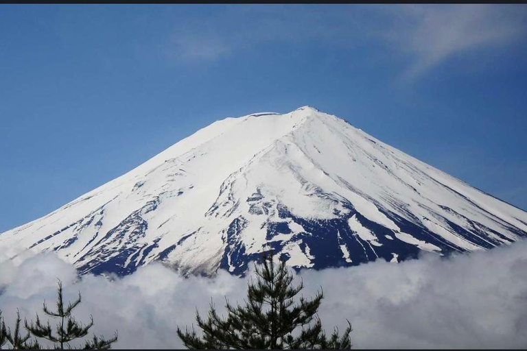 Från Tokyo: Fuji-berget eller Hakone Sightseeing Privat dagstur