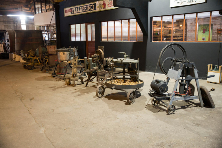 Montevideo: Tour of a century-old urban winery and tasting of 6 wines