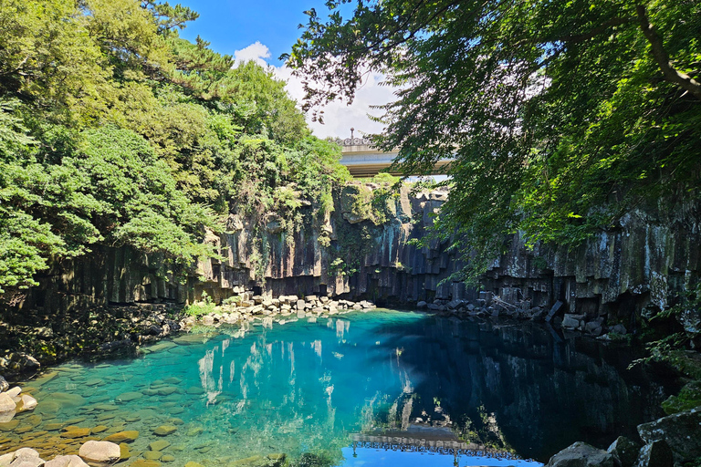 Jeju: 2-Day Island Highlights East & South-West Bus Tour