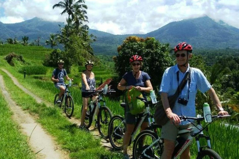 Yogyakarta: Halvdags guidad cykeltur i staden