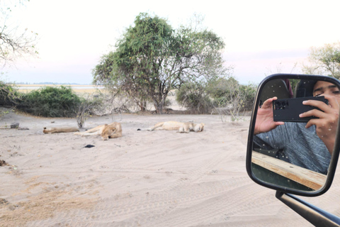 Night Game Drive in Kasane, Lesoma Valley