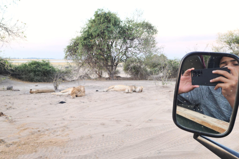 Night Game Drive in Kasane, Lesoma Valley