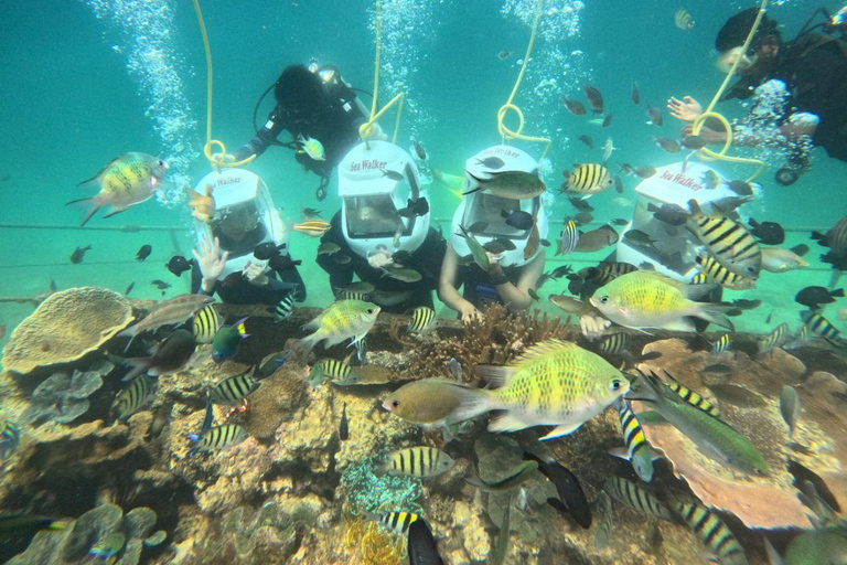 Kota Kinabalu: Mari Mari Sepanggar Island Day Trip & Lunch