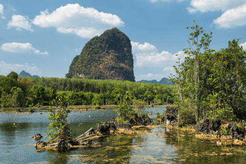 Krabi: Passeio de caiaque em South Kayak Klong RootMeio dia de caiaque em Klong Root e natação