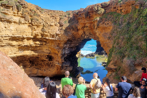 Great Ocean Road Premium Tour - Max 11 Passengers