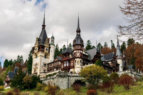 From Bucharest: Biggest Salt Mine In Europe and Peles Castle From Bucharest: Salt Mine and Peles Castle Private Tour