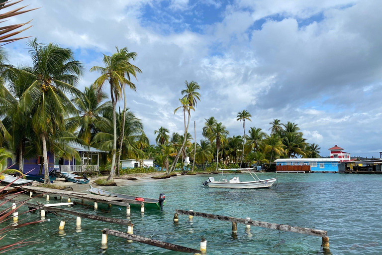 Punta Cana: Private Catalina Island Snorkeling Trip with