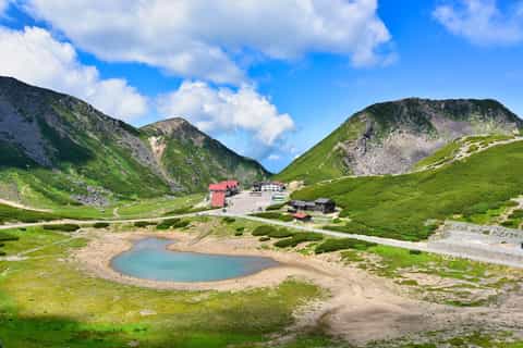 From Takayama: Mt. Norikura Alpine Flowers & Panoramic Peaks