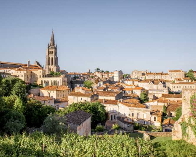 Da Bordeaux: escursione di mezza giornata a Saint-Émilion con degustazione di vini