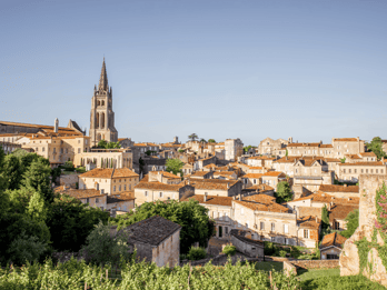 From Bordeaux: Saint-Émilion Half-Day Tour with Wine Tasting