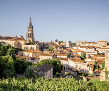 From Bordeaux: Saint-Émilion Half-Day Tour with Wine Tasting