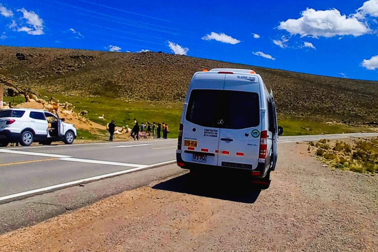 Full Day Trip to Colca Canyon from Arequipa