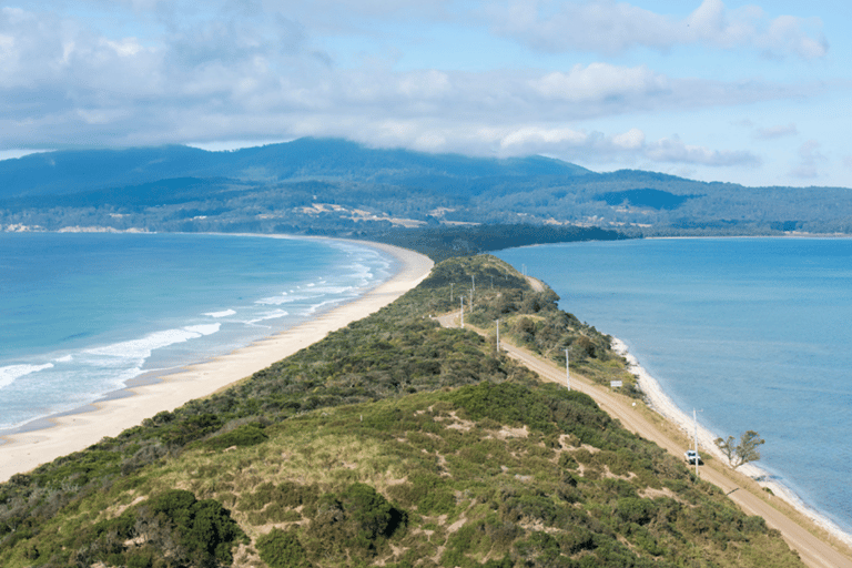 Excursão exclusiva à Ilha Bruny - Hobart e Sudeste da Tasmânia