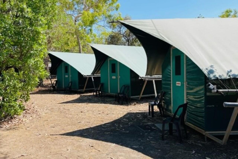 From Darwin: 3-Day Kakadu & Litchfield 4WD Camping Tour Bush Single Swag (sleeps 1)