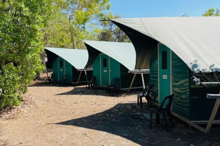 From Darwin: 3-Day Kakadu & Litchfield 4WD Camping Tour Bush Single Swag (sleeps 1)