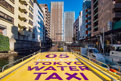 Tokyo: Panoramic Sunset Bay Cruise with Local Guide (Private Boat) Sunset Bay Cruise with Local Guide
