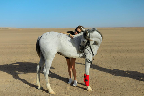 Hurghada: Horse Riding in the Desert & Beach Experience 1 HR Desert Horse Riding Experience without transfer