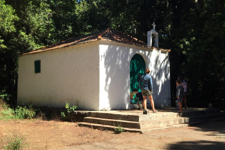 Cielos de Colón