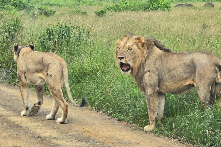 Hluhluwe Imfolozi Park en St Lucia nijlpaardcruise