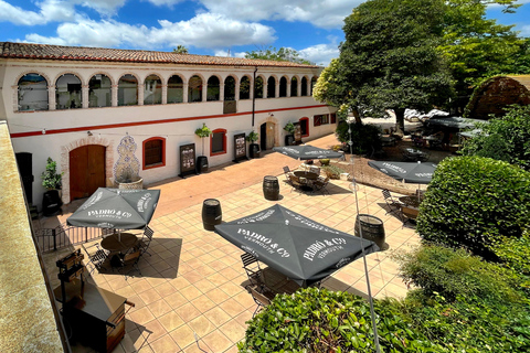 Casa Vermouth Padró: Vermouth tasting and guided visit in Bràfim (Tarragona) Vermouth tasting and guided visit in ENGLISH in Bràfim (Tarragona)