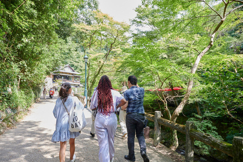 Osaka: Tour privado de esgrima - Entrenado por un gran maestro