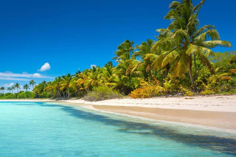 Private tour to Saona Island, Punta Cana