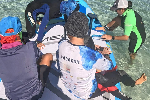 La Paz: Sea Lions & Mega-Paddleboard Tour in Espiritu Santo