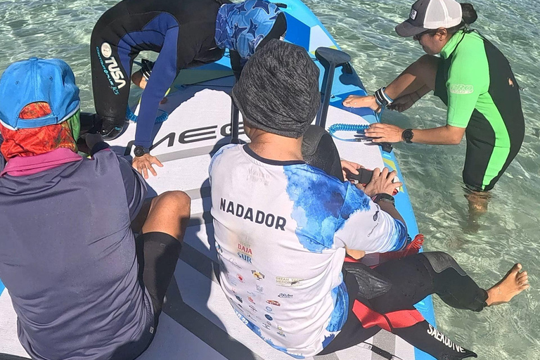 La Paz: Sea Lions & Mega-Paddleboard Tour in Espiritu Santo