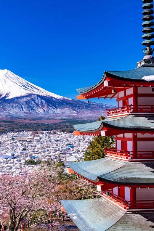 From Tokyo: Fuji Mountain Area - FujiQ - Lake Kawaguchiko
