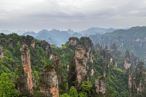 Zhangjiajie: Avatar Forest Park Group Tour or Ticket Big Group Tour with English Guide & Entry Ticket (11-16 ppl)