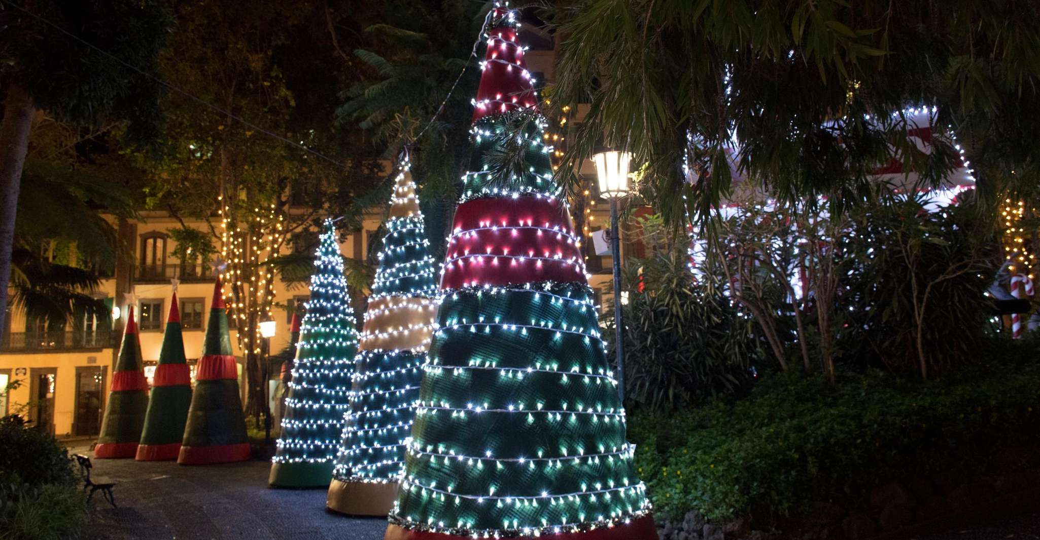 Tallahassee Delights, eine Weihnachtstour durch Kunst und Parks - Hizvo