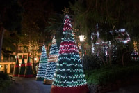Tallahassee Délices, une visite de Noël à travers l'art et les parcs - Hizvo