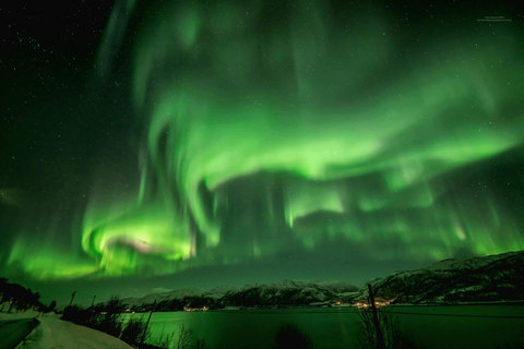 Tromsø: Noorderlicht Tour met foto's en warme pakken