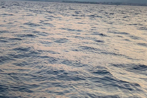 Sunset tour in search of dolphins with aperitif