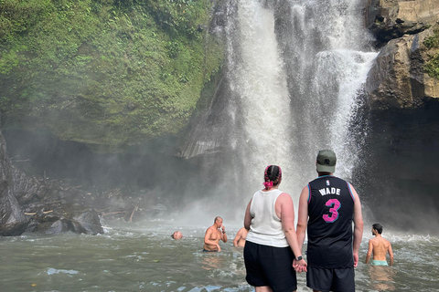 Ubud Waterfall, Temple, Rice Terrace & Art with Transfers