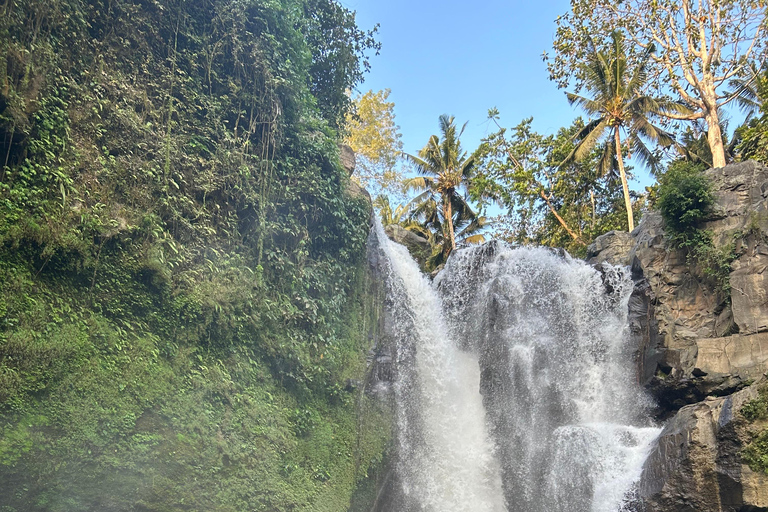 Ubud Waterfall, Temple, Rice Terrace & Art with Transfers